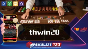 thwin20